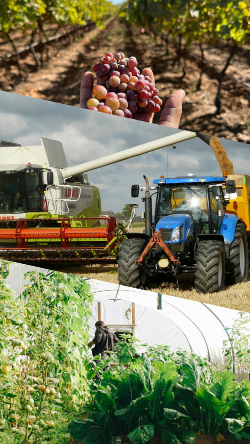 parcours-agriculteur-et-viticulteur