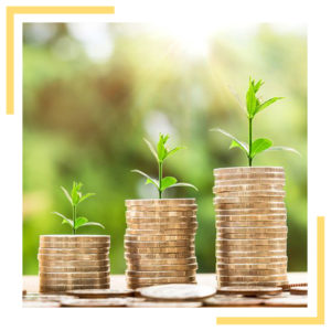 La fiscalité du particulier et optimisation fiscale