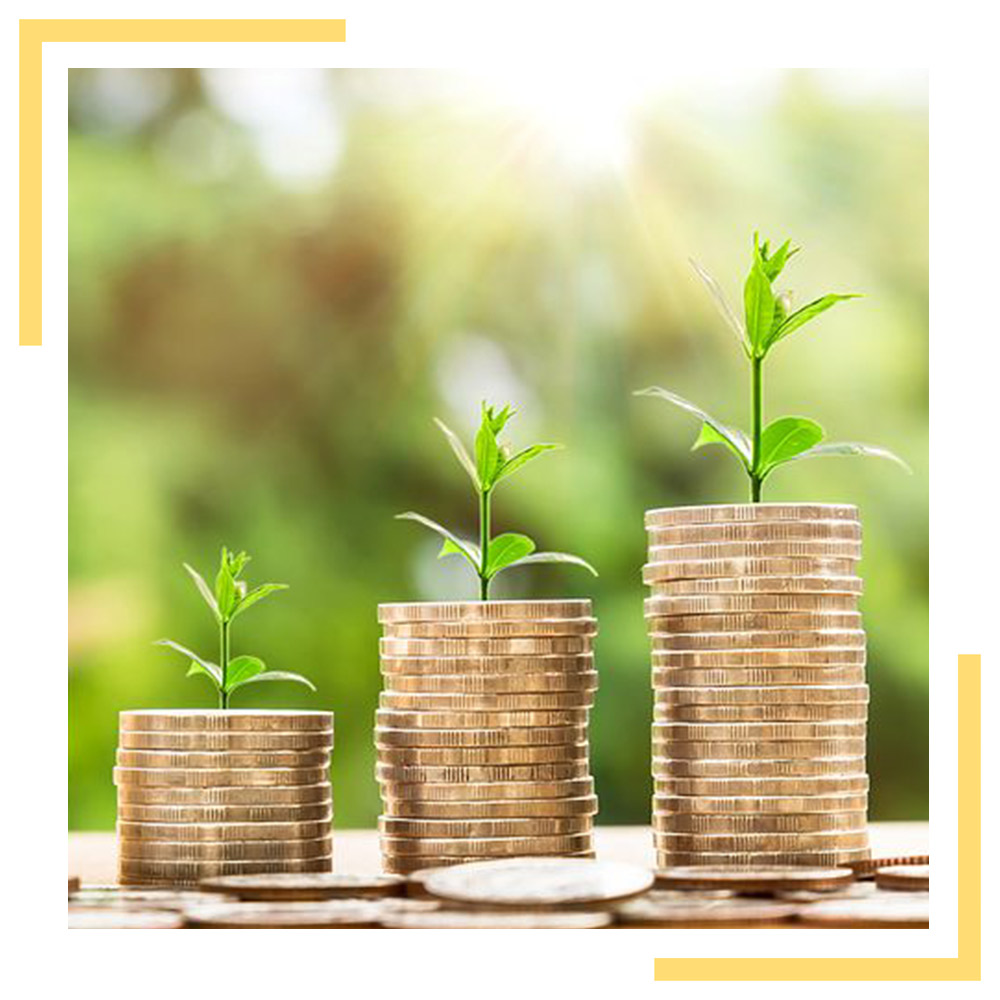 La fiscalité du particulier et optimisation fiscale