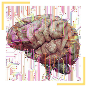 Les préférences cognitives