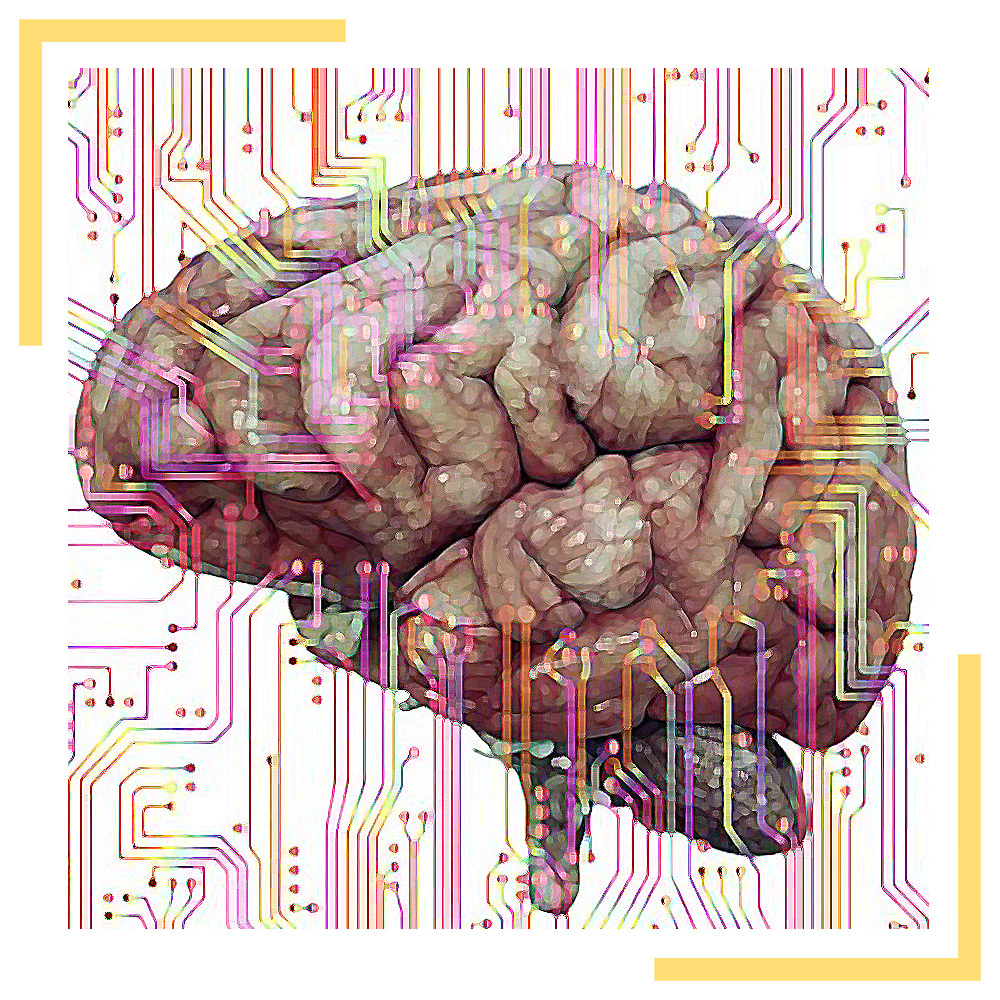 Les préférences cognitives
